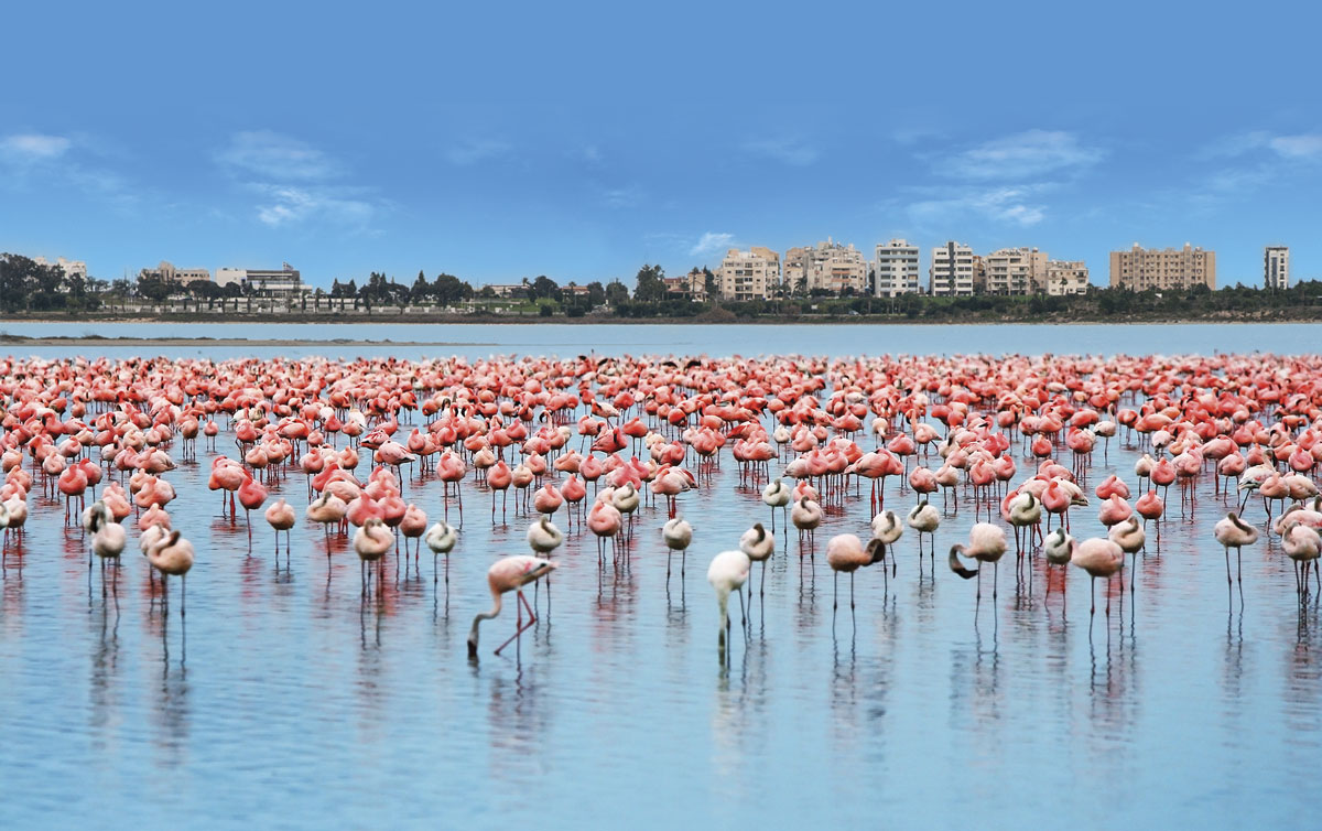 Sightseeing in Larnaka (Larnaca)