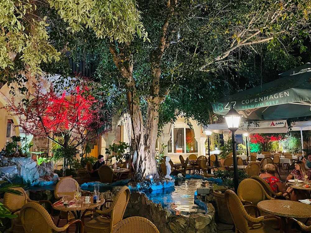 The Oasis of Pafos: A Restaurant that truly impressed us