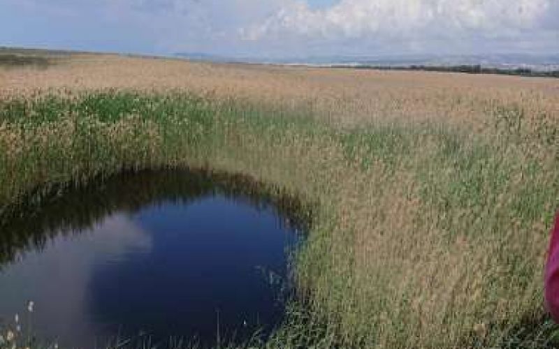 Akrotiri Marsh, a unique natural wetland within the Akrotiri Peninsula