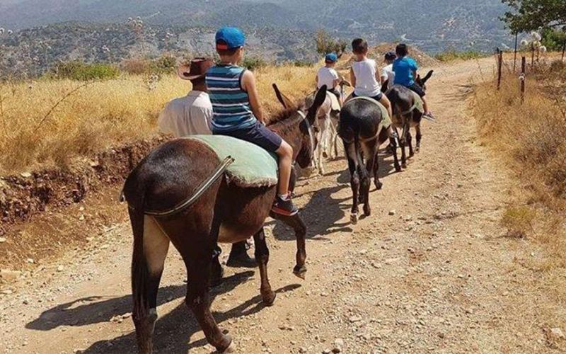 Apesia Hills Donkey Riding Park